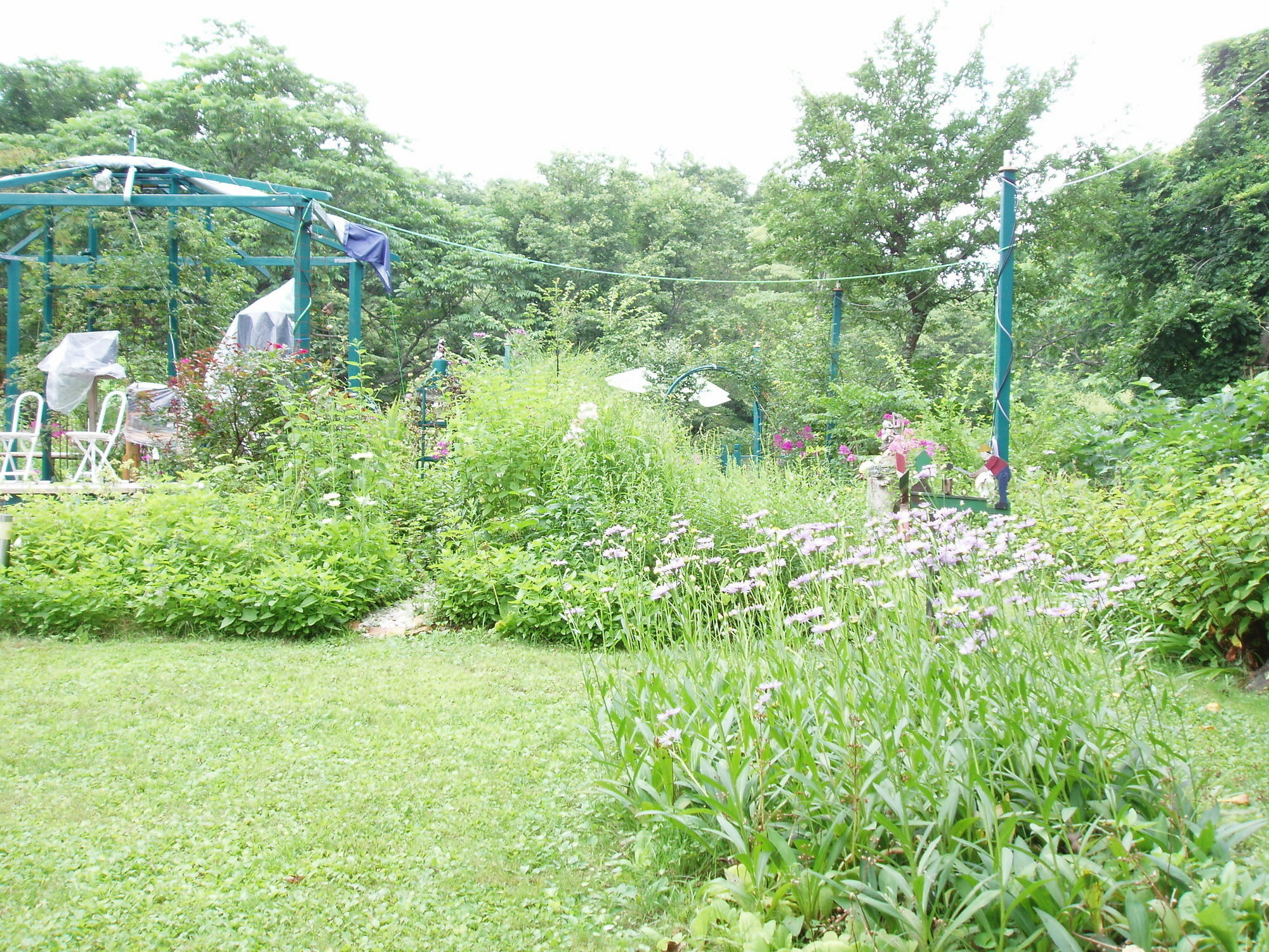Country Inn Canadian House Mioko Kültér fotó
